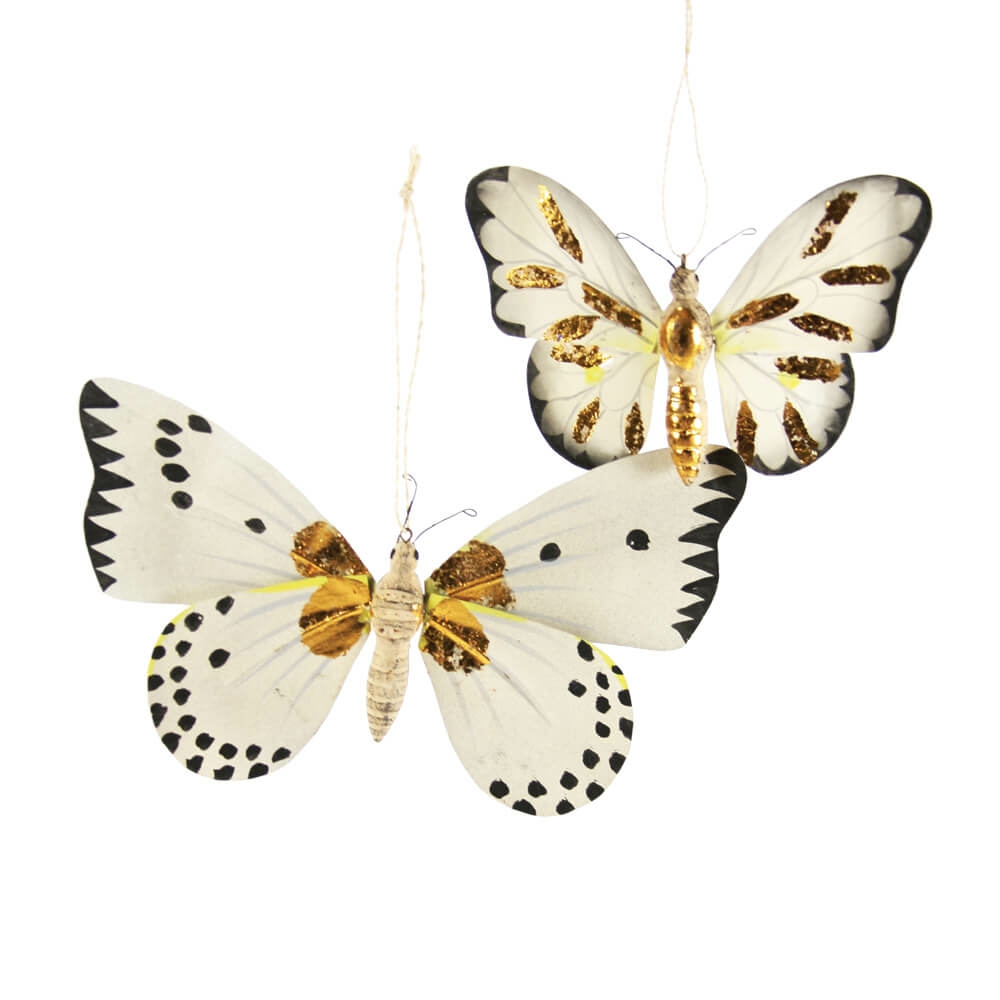 Animals + Insects | Moth With Gold Markings Ornament 5-7"